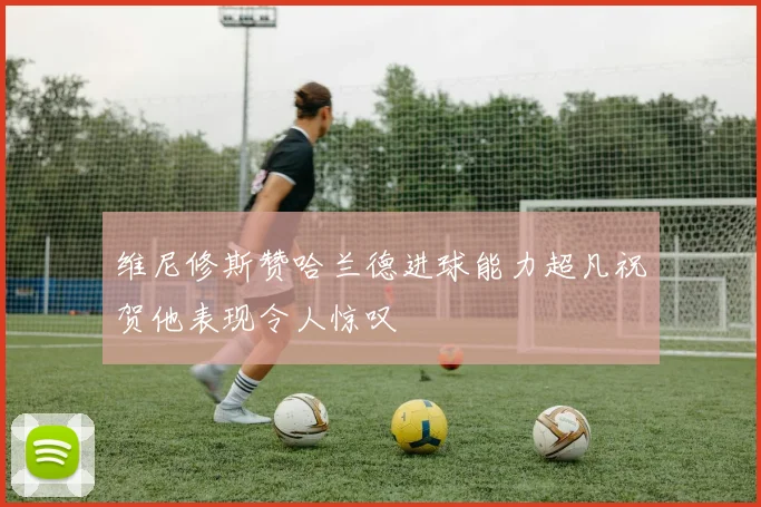 维尼修斯赞哈兰德进球能力超凡祝贺他表现令人惊叹